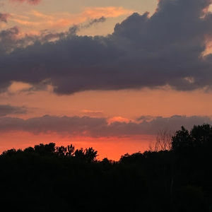 Meet your Posher, Tony